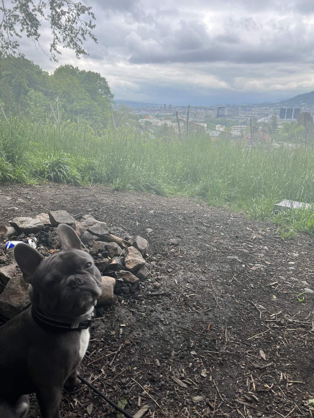 George on a hilltop trail overlooking the city